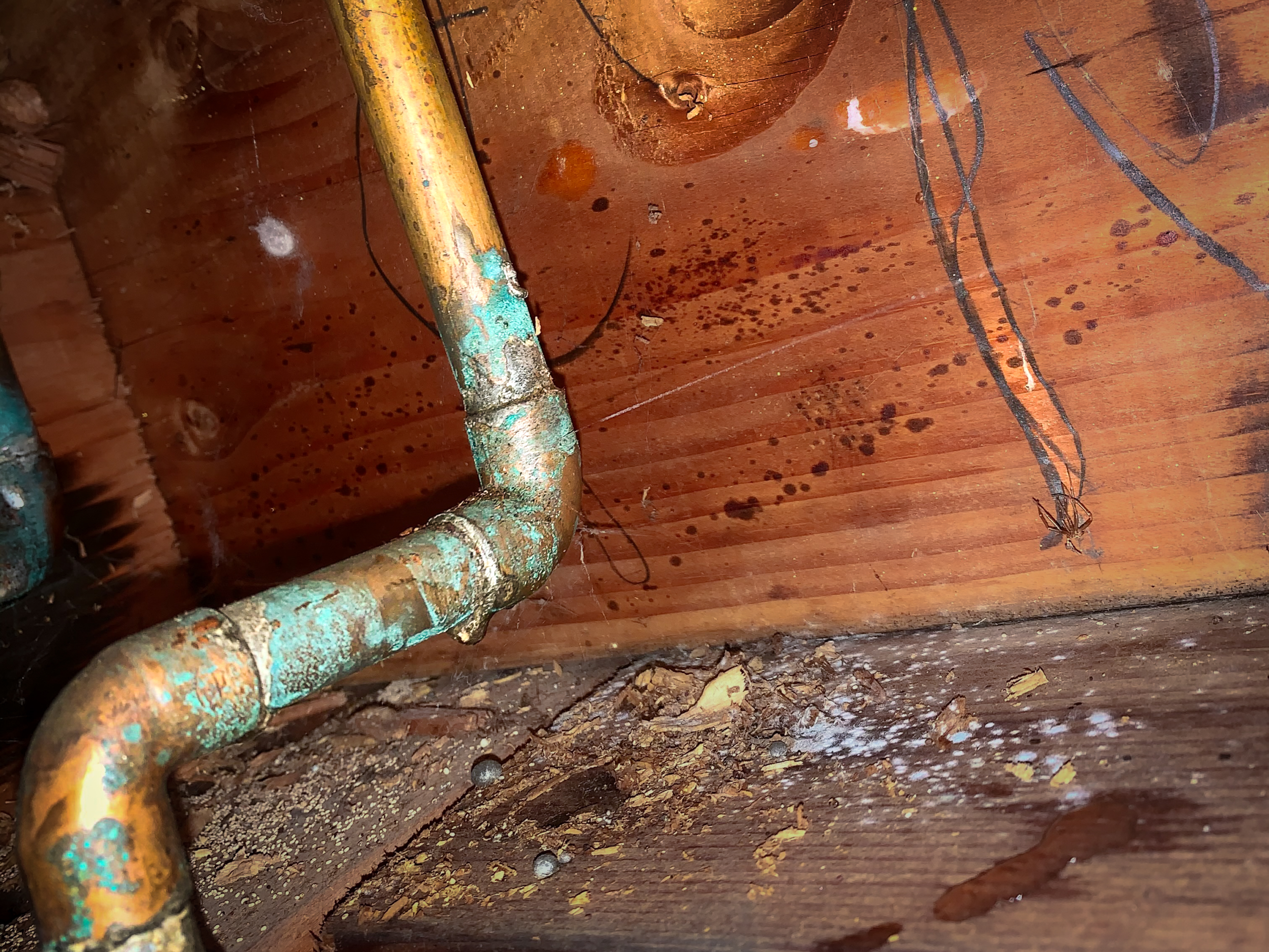 borrego-springs-plumber-pipe-leak-repair A plumber in Borrego Springs discovers a copper pipe leak in a ceiling.