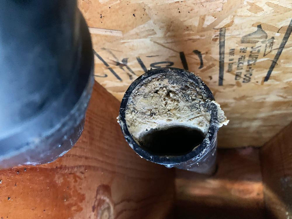 grease in drains A plumber in Escondido opens a kitchen drain line for inspection, revealing heavy grease buildup, which is responsible for frequent back-ups and foul odor.