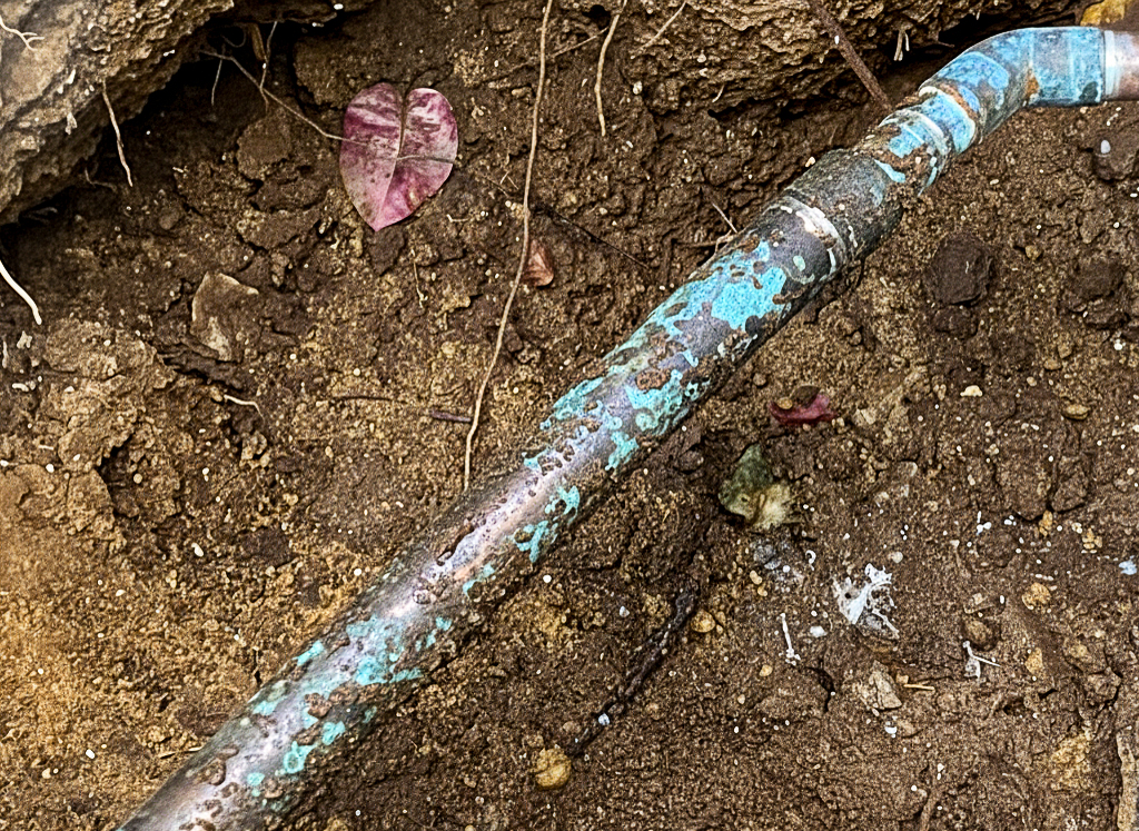 A plumber in Escondido digs up a leaking copper main service line for replacement.